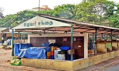 உழவர் சந்தை அட்டைபெற 2400 விவசாயிகள் விண்ணப்பம்