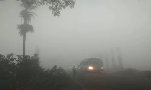 கடலூர் மாவட்டத்தில் கடும் பனிப்பொழிவு:வாகன ஓட்டிகள் அவதி.