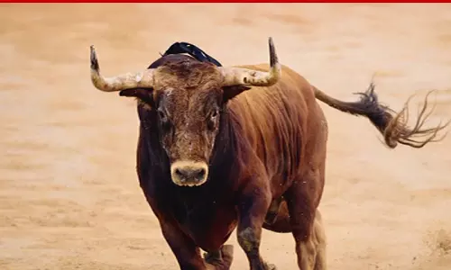 எருது விடும் விழாக்களுக்கு 3 நாட்களுக்கு  முன் ஏற்பாடுகளை முடிக்க வேண்டும்