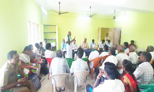 விவசாய நிலங்களை சேதப்படுத்தும் 30 காட்டெருமைகள்