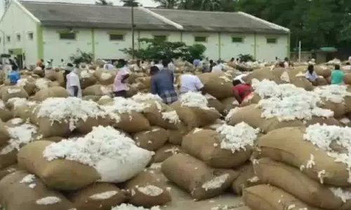 அவிநாசி வேளாண் கூட்டுறவு விற்பனை சங்கத்தில் ரூ.61 லட்சத்து 33 ஆயிரத்துக்கு பருத்தி விற்பனை