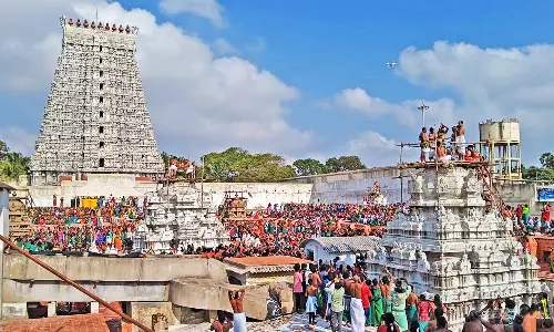 திருச்செந்தூா் கோவிலில் தை உத்திர வருசாபிஷேகம்: திரளான பக்தர்கள் பங்கேற்பு