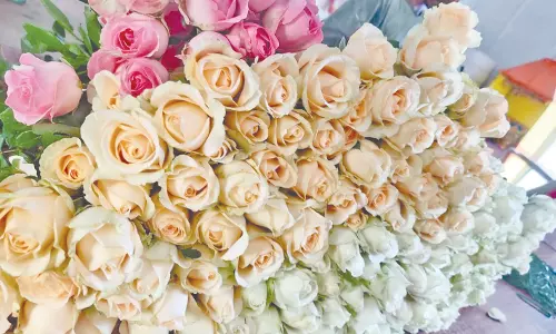 காதலர்தினத்தை கொண்டாட  ரோஜா மலர்கள் விற்பனை களை கட்டியது