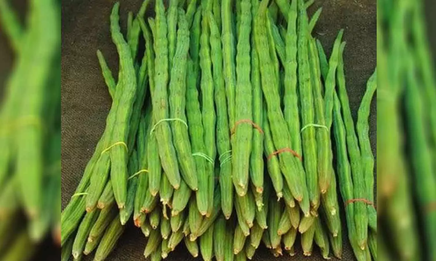 மூலனூர் வார சந்தையில் ஒரு கிலோ முருங்கைக்காய் ரூ.80-க்கு விற்பனை மூலனூர் வார சந்தையில் ஒரு கிலோ முருங்கைக்காய் ரூ.80-க்கு விற்பனை