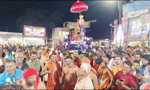 செங்கோட்டை அருகே தீப்பாச்சி அம்மன் கோவில் கொடை விழா