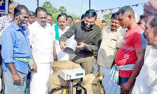 நேரடி நெல் கொள்முதல் நிலையம் திறப்பு