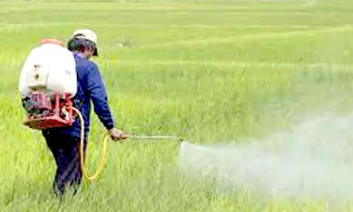 சீர்காழியில் விவசாயிகளுக்கு வேளாண் இடுபொருட்கள் வழங்கல்
