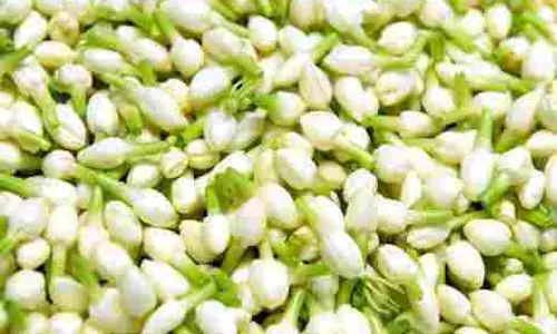 சிவராத்திரியையொட்டி மல்லிகை பூ ரூ.1600-க்கு விற்பனை