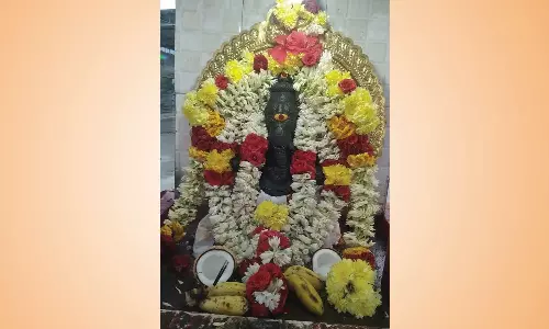 வேலாடும் தனிகைமலையில் செல்வ விநாயகருக்கு சிறப்பு அபிஷேகம்