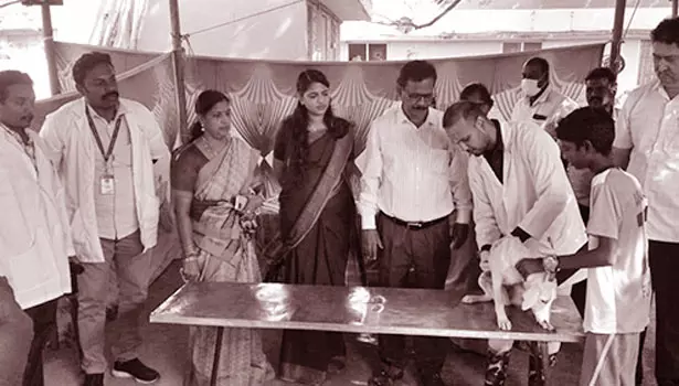 மீஞ்சூரில் 163 செல்ல பிராணிகளுக்கு தடுப்பூசி மீஞ்சூரில் 163 செல்ல பிராணிகளுக்கு தடுப்பூசி