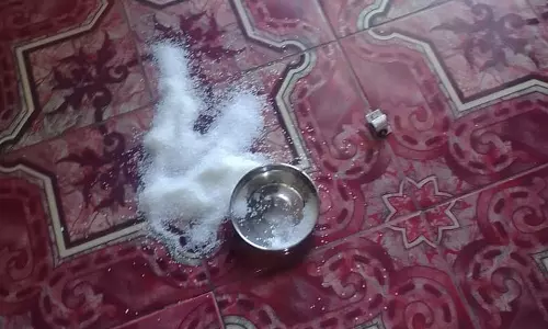 கோத்தகிரியில் வீட்டு கதவை உடைத்து பொருட்களை சூறையாடிய கரடி