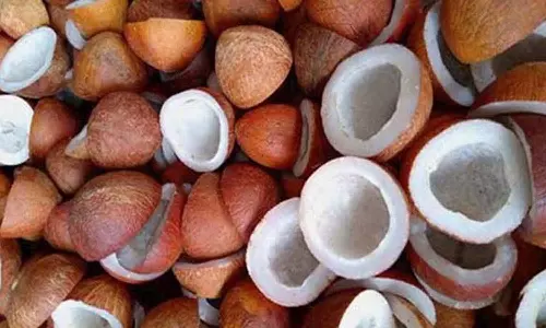 கொப்பரை, தேங்காய் விலை சரிவால் விவசாயிகள் கவலை