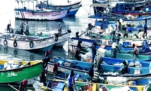 தூத்துக்குடியில் 7-வது நாளாக தொடரும் விசைப்படகு தொழிலாளர்களின் போராட்டம்- தீர்வு காண தமிழக அரசுக்கு கோரிக்கை