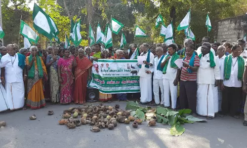 ஒடுகத்தூரில் வனவிலங்குகளால் சேதமான பயிர்களை சாலையில் போட்டு ஆர்ப்பாட்டம்
