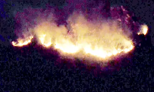 தவளகிரீஸ்வரர் மலையில் தீ வைத்த மர்ம கும்பல்