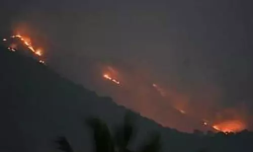 ஏற்காடு மலையில் பரவி வரும் தீ விபத்து- மரங்கள், செடிகள் கருகியது