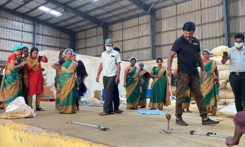 தொழிலாளர்களை கலங்கடித்த 5 அடி நீள நல்ல பாம்பு