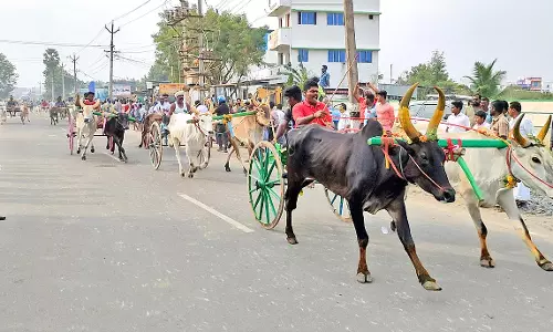 விளாத்திகுளத்தில்  கோவில் விழாவில் மாட்டு வண்டி பந்தயம் - சீறிப்பாய்ந்த காளைகள்