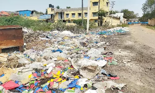 குப்பைகளை சரிவர அள்ளாததால் சுகாதாரக்கேடு