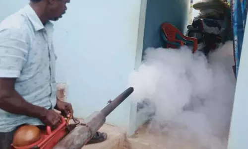 மானூர் சுற்றுவட்டாரத்தில் டெங்கு பரவலை தடுக்க சுகாதார பணிகள் தீவிரம்