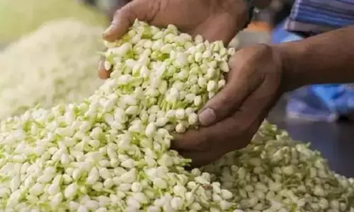 மல்லிகை பூ கிலோ ரூ.3 ஆயிரத்திற்கு விற்பனை