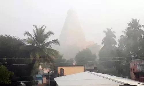 தஞ்சையில், கடும் பனிப்பொழிவு