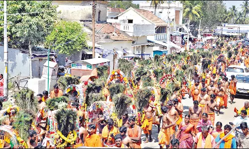 எடப்பாடியில் இருந்து ஆயிரக்கணக்கான பக்தர்கள் காவடிகளுடன் பழனி வந்தனர்