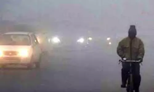 நெல்லை, தென்காசியில் பனியின் தாக்கம் அதிகரிப்பு