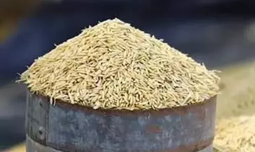 நேரடி நெல் கொள்முதல் நிலையங்களில் அதிகாரிகள் திடீர் ஆய்வு