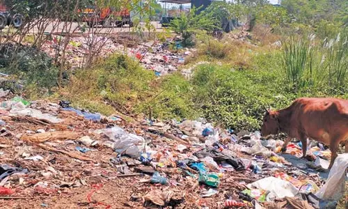 மாத்தூர் ஊராட்சியில் நீர்நிலை பகுதிகளில் கொட்டப்படும் குப்பைகள்