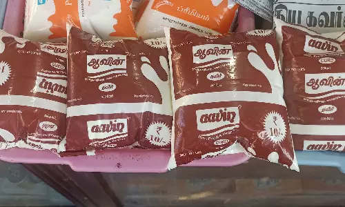 கொடைக்கானலில் ஆவின் தயிர் பாக்கெட்டில் விலைப்பட்டியல் பதிவில் குளறுபடி பொதுமக்கள் குழப்பம்