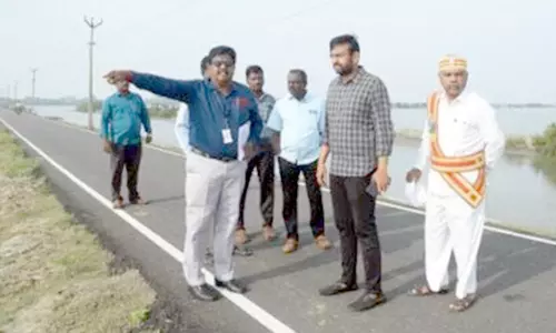 வளர்ச்சி திட்ட பணிகளை கலெக்டர் ஆய்வு