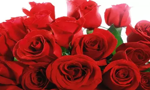 சேலம் மார்க்கெட்டில் ரோஜா பூக்கள் விற்பனை விறுவிறுப்பு