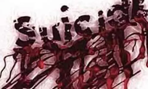 போலீஸ் நிலையத்துக்கு விசாரணைக்கு சென்ற பெயிண்டர் விஷம் குடித்து தற்கொலை