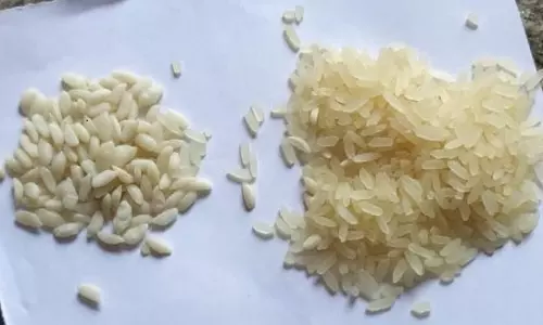 இலுப்பூர் அருகே ரேஷன் கடையில் வழங்கப்பட்ட செறிவூட்டப்பட்ட அரிசியால் அச்சமடைந்த பொதுமக்கள்