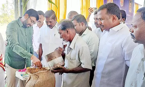 நேரடி நெல் கொள்முதல் நிலையம் திறப்பு