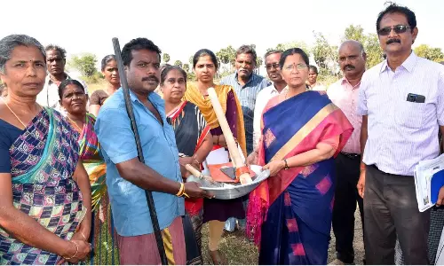 பெரம்பலூர் மாவட்டத்தில் விளை நிலங்களாக மாற்றப்பட்ட 73.42 ஏக்கர் தரிசு நிலங்கள்-ஆய்வில் கலெக்டர் தகவல்