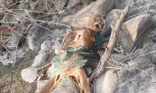 பாறையில் சிக்கி கிடந்த மனித எலும்பு கூடு