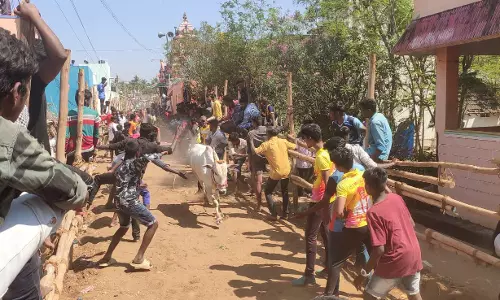 மாடு விடும் விழாவில் காளைகள் முட்டி 5 பேர் காயம்