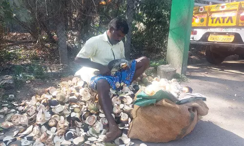 கோடைக்கு முன்பே நுங்கு விற்பனை தொடக்கம்