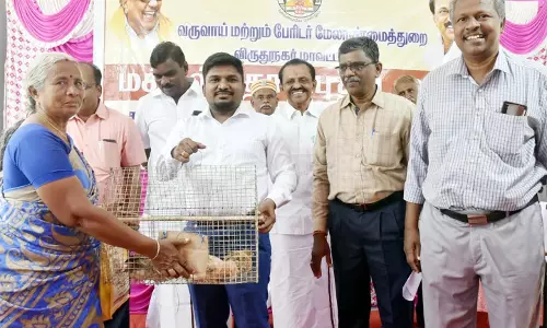 பயனாளிகளுக்கு ரூ.30 லட்சம் மதிப்பிலான நலத்திட்ட உதவிகள்