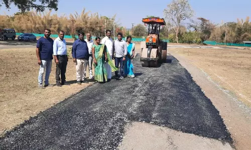 தேர்திருவிழா பணிகள் குறித்து பேரூராட்சி உதவி இயக்குனர் ஆய்வு