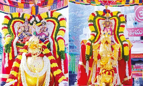 பிரம்மோற்சவ விழா: ஹம்ச, யாளி வாகனங்களில் சிவன்-அம்பாள் வீதிஉலா