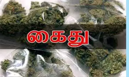2¼ கிலோ கஞ்சா பறிமுதல்; 3 பேர் கைது