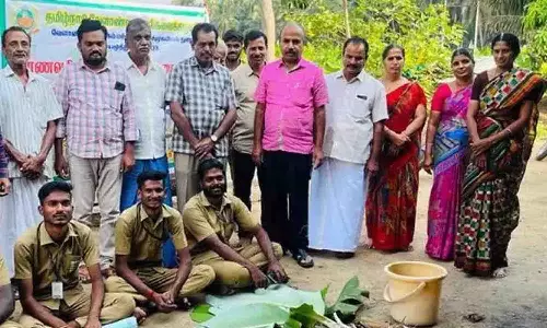 வாழை சாகுபடியில் கன்று நேர்த்தி குறித்து செயல் விளக்கம்