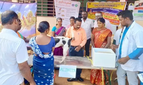 வெறிநோய் தடுப்பூசி முகாம்