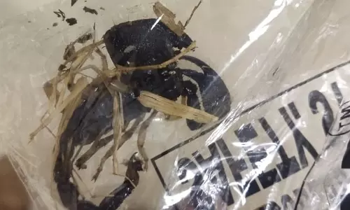 கொட்டிய தேளுடன் ஆஸ்பத்திரிக்கு வந்த பேரிடர் மீட்பு படை வீரர்