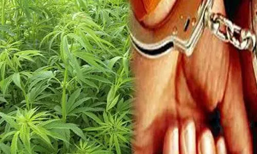 ரெயிலில் கஞ்சா கடத்திய பெண் உள்பட 2 பேர் கைது