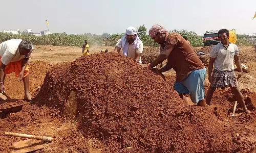 வேலூரில் மயான கொள்ளை விழா ஏற்பாடுகள் தீவிரம்