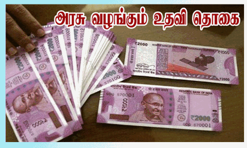 உதவி தொகையால் உயர்கல்வி படிக்கும் சிரமம் குறைந்தது-மாணவிகள் நெகிழ்ச்சி